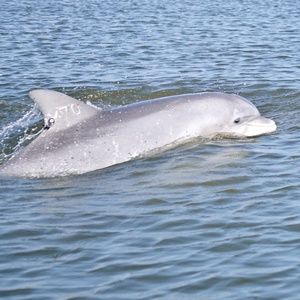 Meet your Posher, Kara